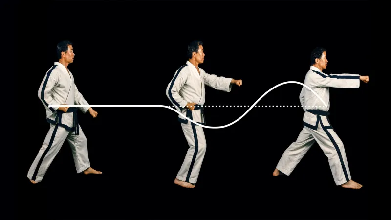 Taekwon-Do ITF Sine Wave