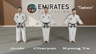 Salute and attention stance protocol in Taekwon-Do