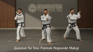 Walking stance double forearm high block (Gunnun So Doo Palmok Nopunde Makgi) technical reference