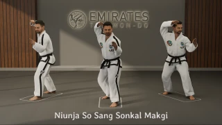 L-stance twin knife-hand block (Niunja So Sang Sonkal Makgi) technical reference