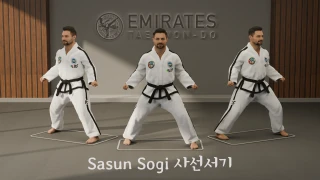 Diagonal stance (Sasun Sogi) technical reference