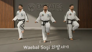 One-leg stance (Waebal Sogi) technical reference