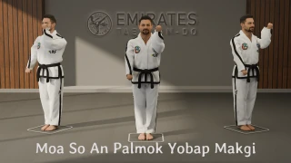 Moa So An Palmok Yobap Makgi Technical Reference