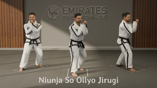 L-stance upward punch (Niunja So Ollyo Jirugi) technical reference