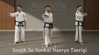 Vertical stance knife-hand downward strike (Soojik So Sonkal Naeryo Taerigi) technical reference
