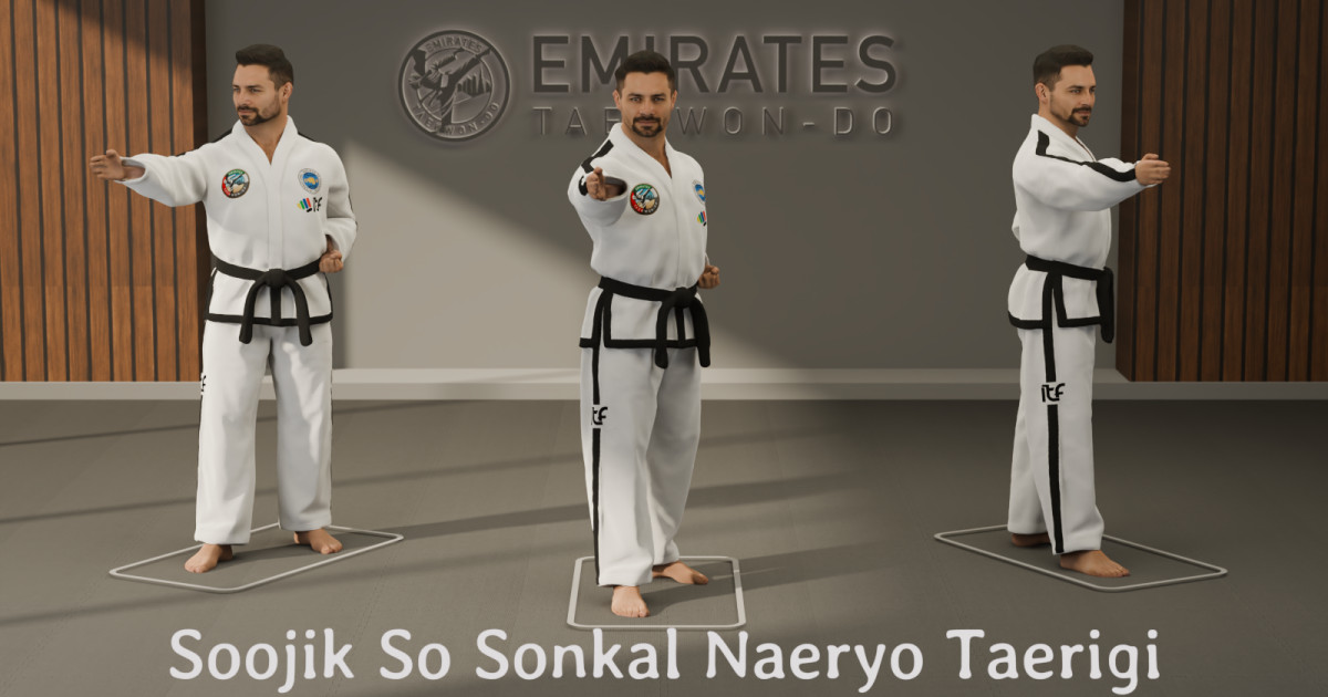 Vertical stance knife-hand downward strike (Soojik So Sonkal Naeryo Taerigi) technical reference cover image
