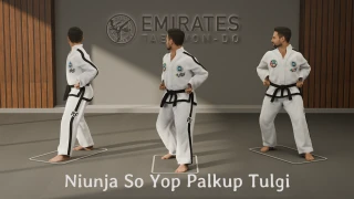 L-stance side elbow thrust (Niunja So Yop Palkup Tulgi) technical reference