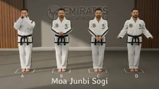 Close ready stance (Moa Junbi Sogi) technical reference