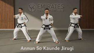 Sitting stance middle punch (Annun So Kaunde Jirugi) technical reference