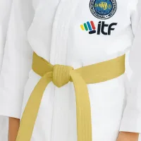 Yellow Belt