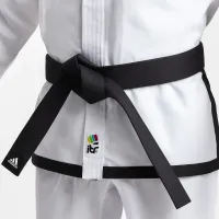 Black Belt 5th DAN