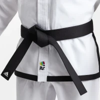 Black Belt - Transition