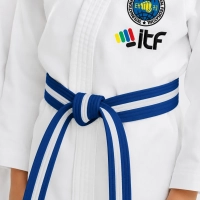 Blue Belt - Transition