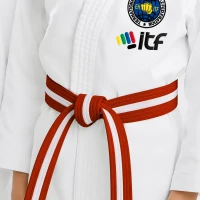 Red Belt - Transition